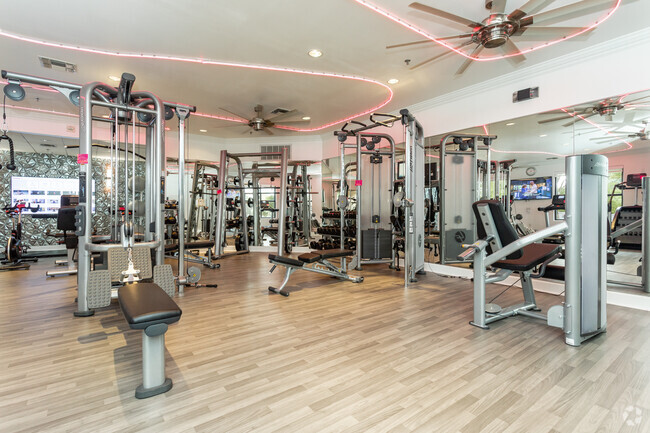 Gimnasio abierto las 24 horas - Verona by Palladium