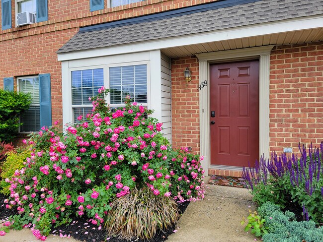 Foto del edificio - 358 Meetinghouse Ln