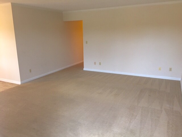 Building Photo - 230 W 43rd St