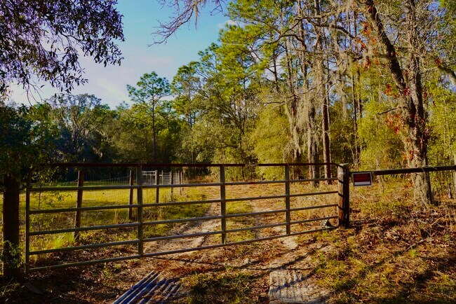 Building Photo - 29205 Saddle Oaks Ln