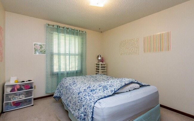 Building Photo - Clean three bedroom one bath duplex with walk out basement looking at trees, across from park