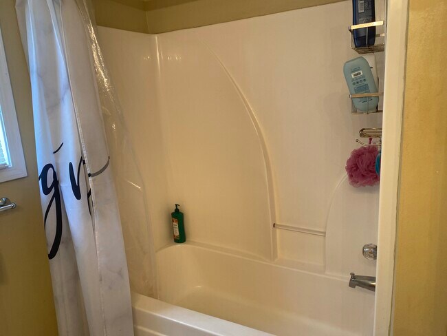 Bathroom - 19 Brook Meadows Cir