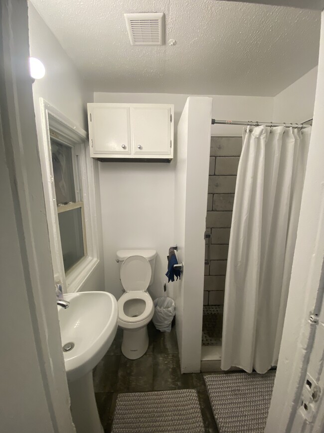 Unit 1 Fully Renovated Bathroom - 217 Hamilton Ave