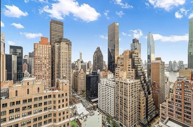 Building Photo - 245 E 44th St