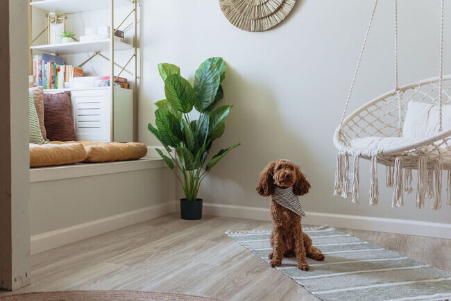 Foto del edificio - 308 Lamont St