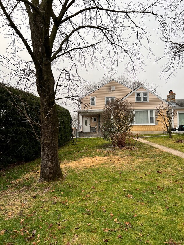 Front lawn (entrance to unit on the left) - 40 Travis Ave