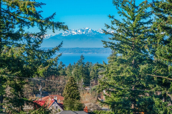 Mountain Views Zoomed In - Puget Sound Apartments