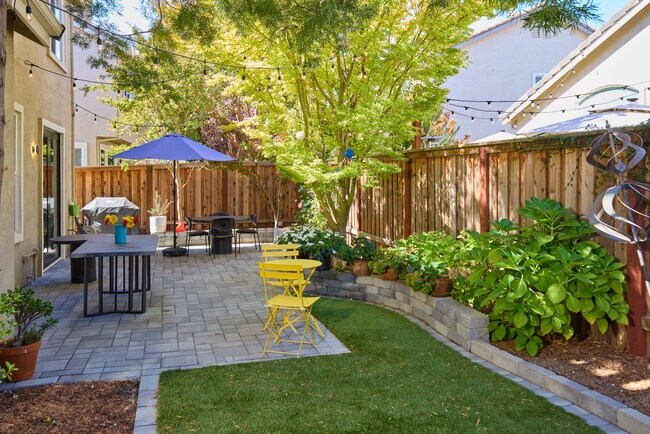 Backyard - 10 Summerbrooke Cir