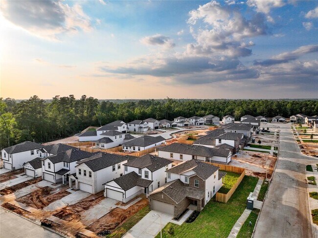 Building Photo - 10702 Violet Bloom Dr