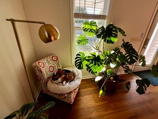 Building Photo - 1517 Seigle Ave