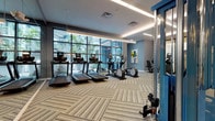 This well-appointed fitness center is designed to accommodate a comprehensive range of workout routines within a thoughtfully organized, single-level layout. The main cardio area features a row of treadmills and elliptical machines positioned directly in front of expansive floor-to-ceiling windows, offering views of a palm tree-lined outdoor environment and filling the space with natural light. The windows span nearly the entire wall, creating an open, airy atmosphere accentuated by recessed linear lighting along the ceiling.

The strength training zone is generously equipped with blue power racks, TRX suspension systems, weight benches, a full dumbbell rack, and multiple selectorized cable and resistance machines. Patterned low-pile carpet tiles cover the main workout floor, providing durability and comfort underfoot. Accent walls in soft blue-grey tones and colorful artwork contribute to an energizing yet polished aesthetic.

A separate studio room, enclosed by sleek black-framed glass partitions, features light hardwood flooring and is outfitted with spin bikes, stability balls, resistance bands, and step platforms. Full-length mirrors maximize the sense of space within the studio. A water fountain station is also conveniently located within the facility, ensuring all essential amenities are readily accessible.