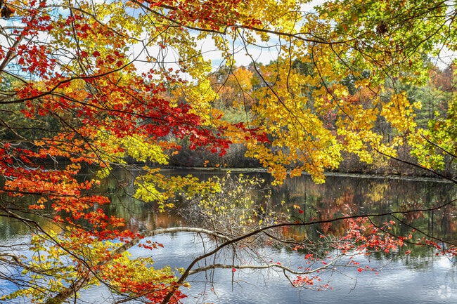 Fall in Lexington is beautiful.