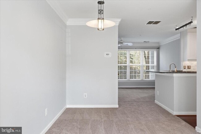 Building Photo - 5916 Terrapin Pl