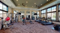 Located on Walter Drive in Dallas, TX, this single-floor fitness center is designed to support a comprehensive workout experience. The space features a thoughtfully laid out interior with elevated tray ceilings, recessed lighting, and dual ceiling fans that contribute to a comfortable and airy atmosphere. Textured stacked-stone accent walls add a refined, contemporary aesthetic throughout the room, complemented by large floor-to-ceiling windows that flood the space with abundant natural light and provide views of the surrounding outdoor community.

The cardio section is well-appointed with multiple treadmills, elliptical trainers, and a recumbent bike, all positioned to take advantage of the natural light from the expansive windows. Wall-mounted flat-screen televisions are conveniently positioned throughout for entertainment during workouts. The strength training area offers a full multi-station cable machine, a range of dumbbells on a dedicated rack, and an assortment of medicine balls for functional fitness. Mirrors are strategically placed along the walls to enhance the sense of space and assist with form during exercise.

The entryway features built-in shelving, a tablet kiosk, and framed wall art, creating a welcoming transition into the facility. Herringbone-patterned carpet tiles cover the floors throughout, adding texture and visual interest to the overall design.