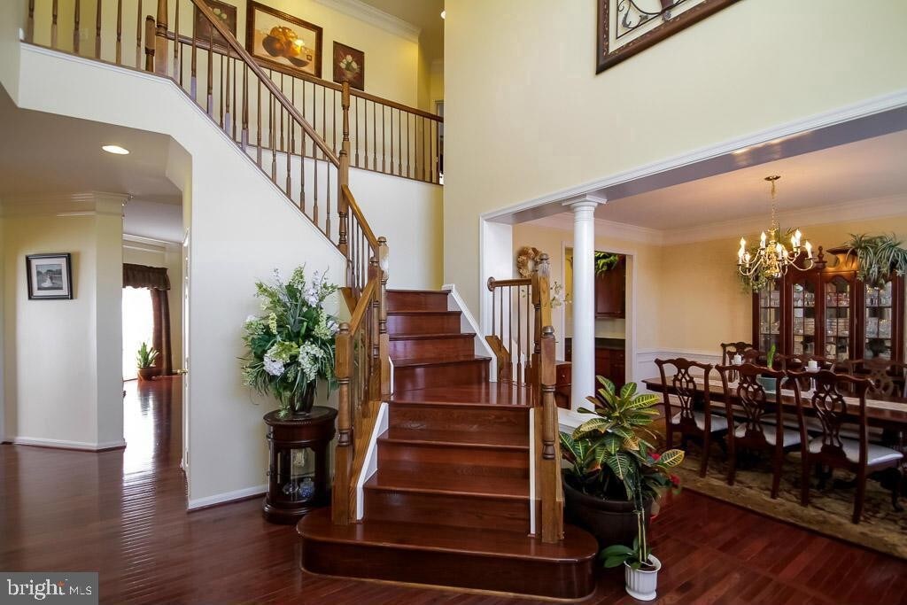 Foto principal - 9404 Smokey Bear Ct
