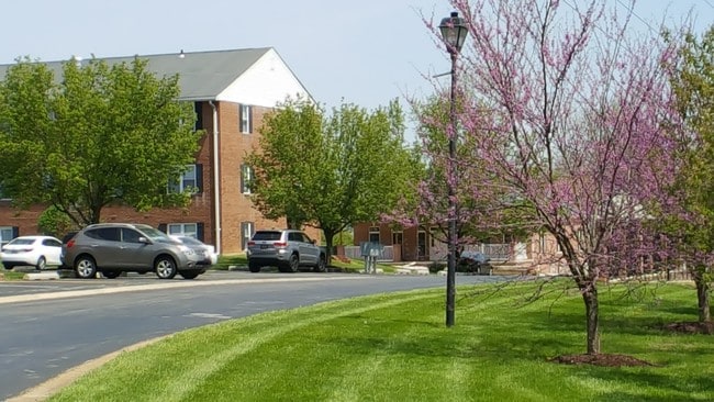 Building Photo - Brandywine Apartments