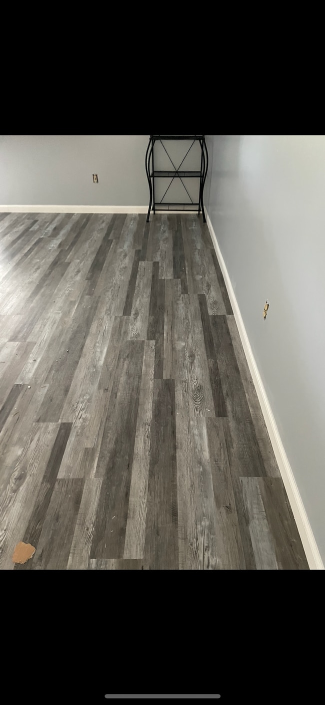 New floor and wall color - 1515 Bayshore Blvd