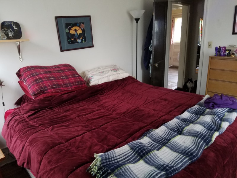 Photo - 340 Ellis Ave (Iowa City, IA)