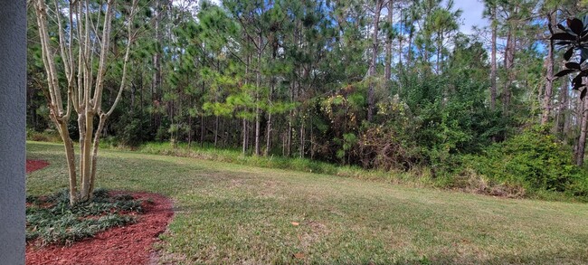 Wooded view from back patio and balcony - 110 Masters Ln