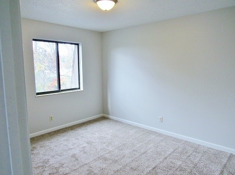 Building Photo - 1305 Springfield Dr