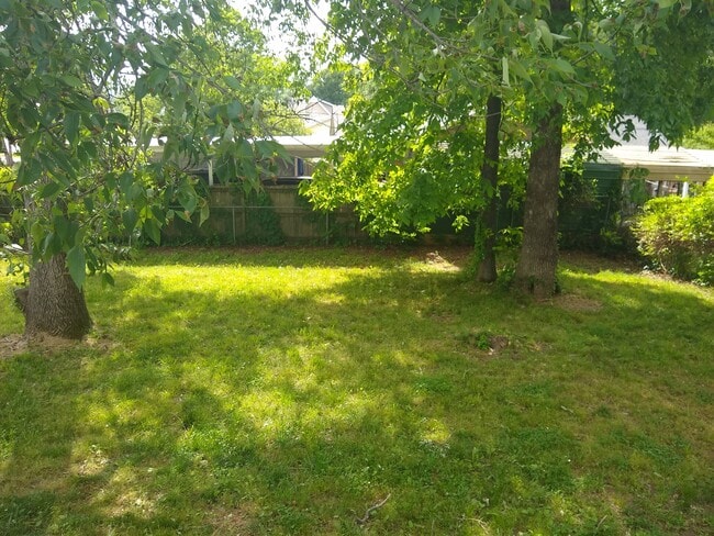 Backyard - 967 may Apple dr