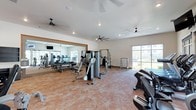 This single-story fitness center offers a comprehensive workout environment designed to accommodate a range of exercise routines. The space is generously sized, providing ample room for multiple users to train simultaneously without feeling crowded. A large wall-to-wall mirror installation along one side visually expands the room while allowing users to monitor their form during exercise. The mirrored section also reflects the cardio equipment lineup, which includes treadmills and additional machines arranged in a dedicated zone. The main floor features a selection of strength-training machines and free weight equipment, catering to both resistance and functional training needs. A large window along the exterior wall floods the space with natural light and frames views of the surrounding outdoor landscape, contributing to an open and energizing atmosphere. The smooth, neutral-toned flooring provides a durable and practical surface throughout. Multiple ceiling fans are mounted overhead, promoting air circulation across the entire area. Recessed lighting supplements the natural light, ensuring the space remains well-lit at all hours. The overall design is clean, modern, and functional.