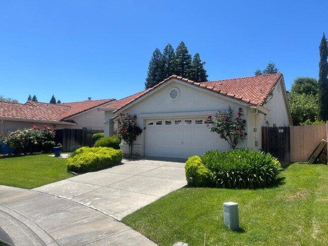 Building Photo - Modern 3 Bedroom One Story Browns Valley V...