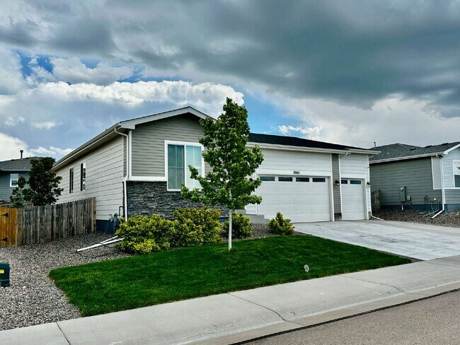 Foto del edificio - "Charming 4-Bedroom Castle Rock Home with Spacious Living!"