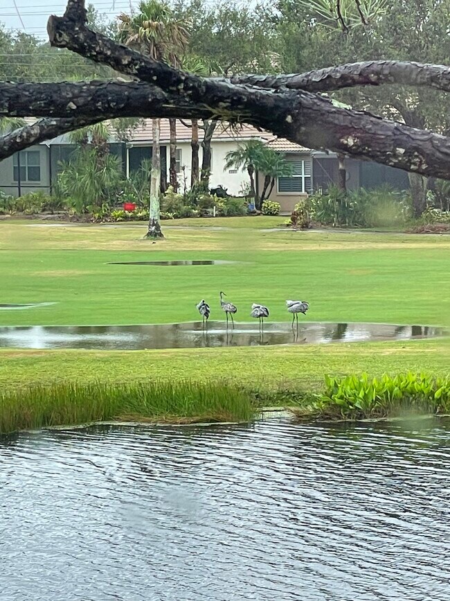 View of golf course from lanai - 6334 Grand Oak Cir