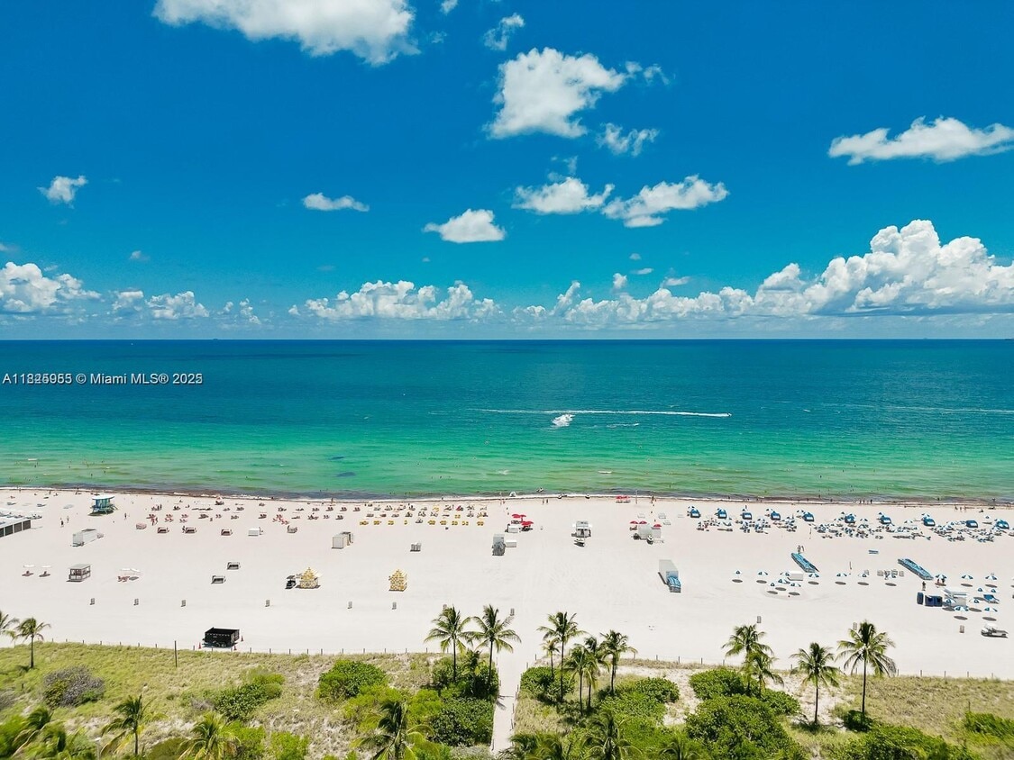 Primary Photo - 1621 Collins Ave