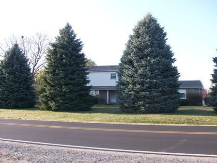 Building Photo - 1705 E Forest Ave