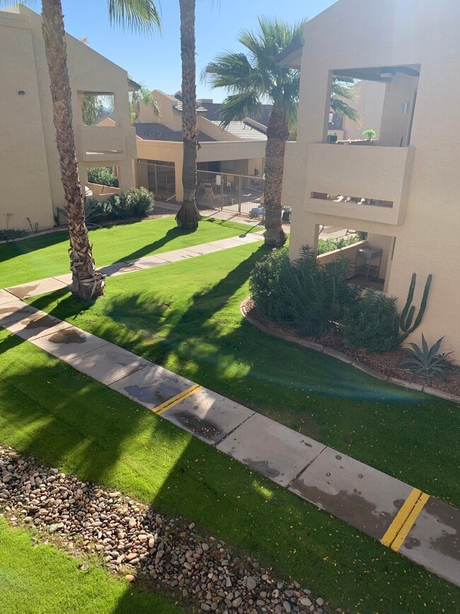 View from balcony - 145 N 74th St