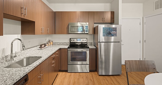 Model-Kitchen-03-Terrapin-Row-College-Park-MD-5 - Terrapin Row Apartments