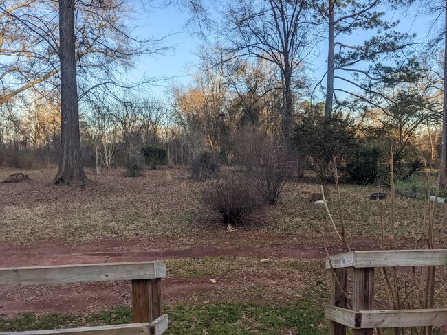 back/side yard .09 acres - 224 Liberty Dr