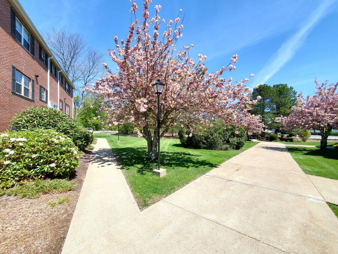 10 Marlboro Rd Unit 1Br, Woburn, MA 01801 Apartments in Woburn, MA