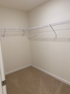 Photo - 12134 Evergreen Terrace Ln House