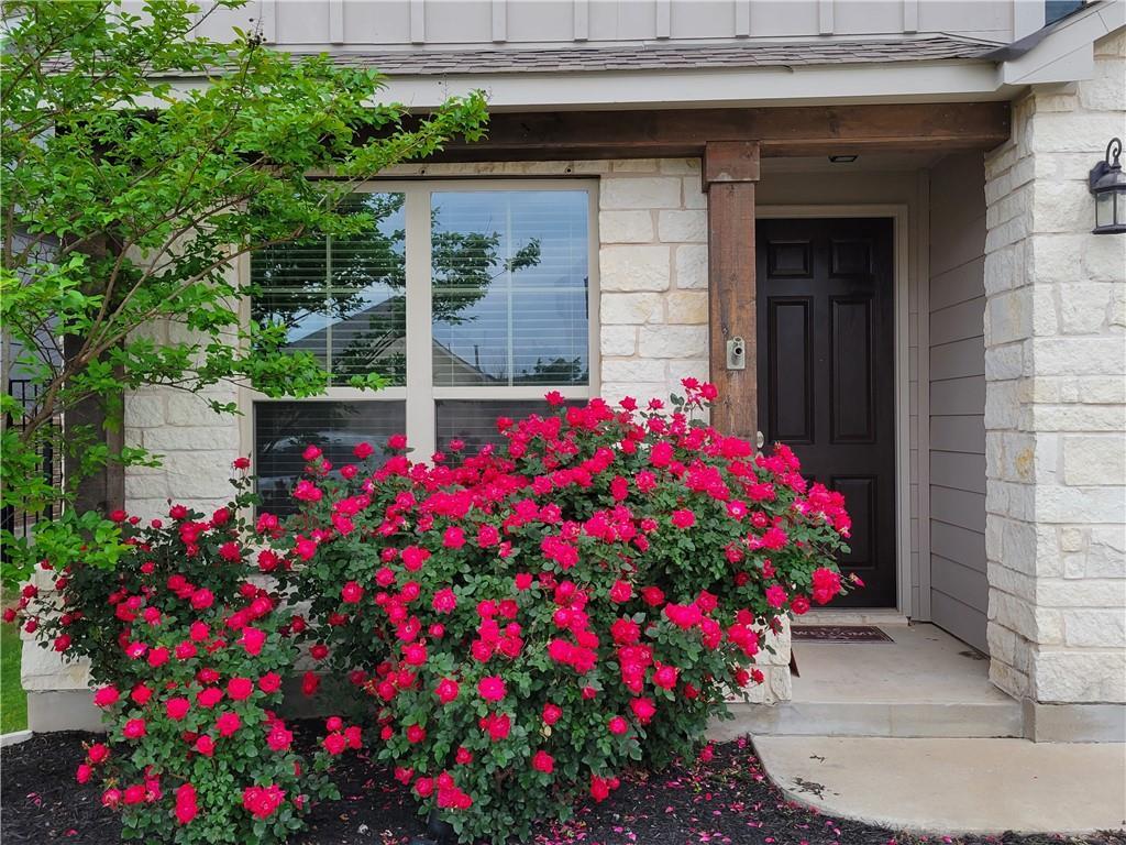 113 Fallow Cove, TX 78628 House for Rent in