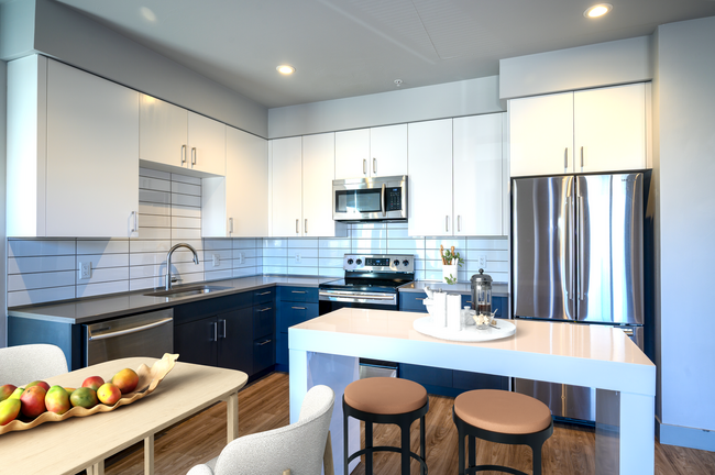 Interior Photo - Black Olive