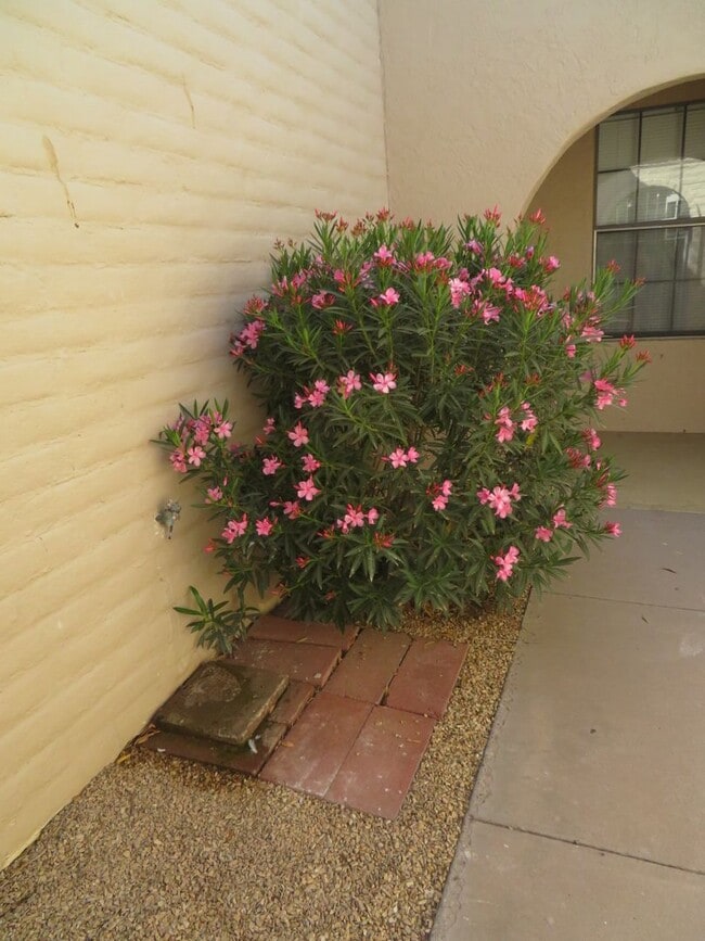Building Photo - 2 Bedroom 2 Bath Townhouse Available for Rent