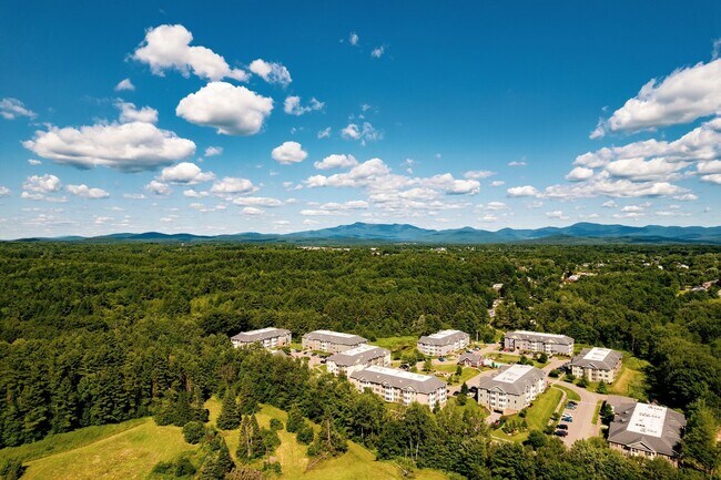 Foto del edificio - One Bed/One Bath with Wooded View