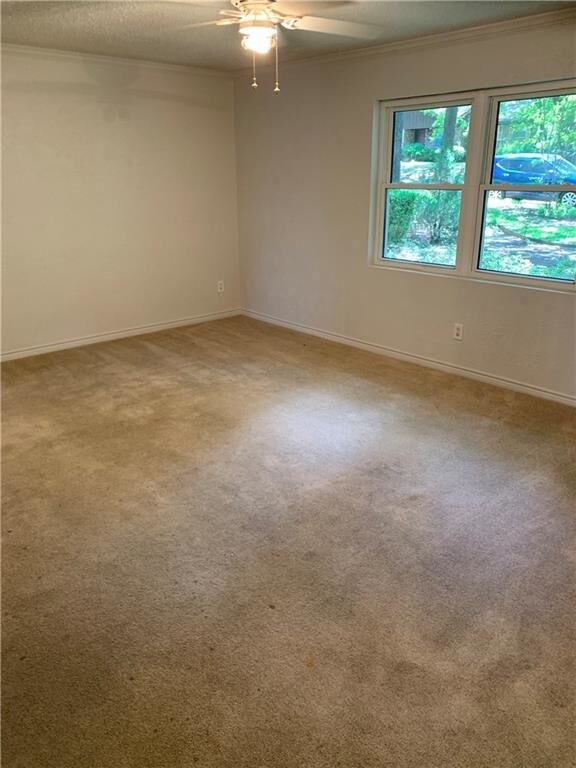 Building Photo - 1009 Redbud Ct
