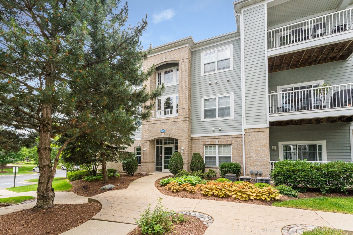 1291 W Lake St Unit 205, Addison, IL 60101 Condo for Rent in Addison, IL