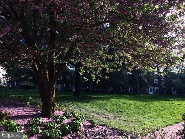 Foto del edificio - 207 Walnut Hill Rd