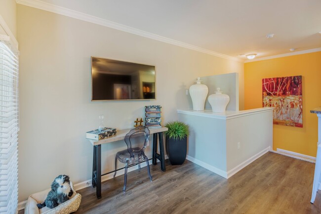 Living Room Area - Sixteen50 at Lake Ray Hubbard Apartments