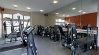 This fitness center offers a comprehensive workout environment designed to accommodate a variety of exercise routines. The space is outfitted with a solid selection of cardio equipment, including treadmills and elliptical machines, alongside a range of strength training and resistance machines to support full-body workouts. The flooring is covered in durable rubber gym matting, providing both safety and comfort during exercise. Large windows line the walls, allowing ample natural light to flow into the space while offering views of the surrounding greenery, creating an energizing atmosphere. Floor-to-ceiling mirrors are mounted along one wall, enhancing the sense of openness and allowing users to monitor their form during workouts. Recessed ceiling lights provide consistent, even illumination throughout. An accent wall in a warm terracotta tone adds a touch of color and visual interest to the otherwise neutral interior palette. The layout is thoughtfully arranged to allow ease of movement between equipment stations. Wall-mounted clocks are positioned for convenient time-tracking during sessions. Overall, the fitness center delivers a clean, functional, and well-organized environment suited for both casual and committed fitness routines.