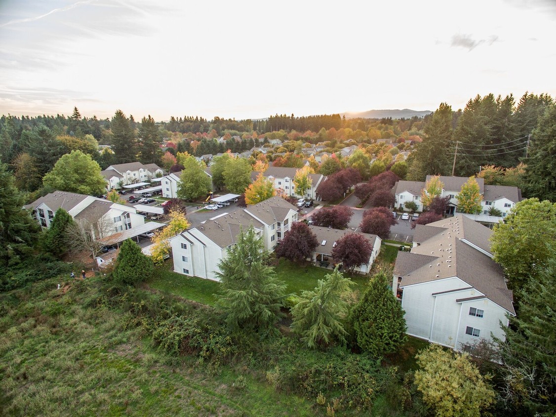 Primary Photo - Ashwood Downs Apartments