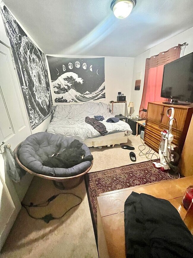 Foto del edificio - 255-257 N Spring St