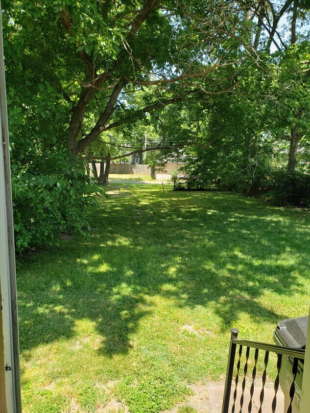 Backyard - 553 Wyoming St