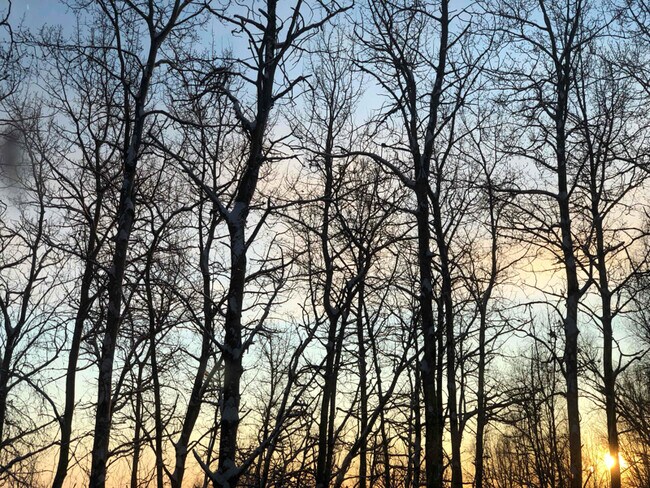 Foto del edificio - 264 Hawk Rd