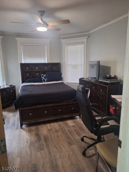 Foto del edificio - 176 Springdale Ave